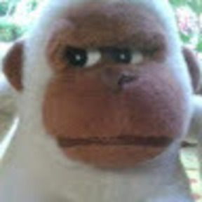 Alain  B