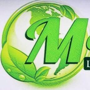 Monge's Landscaping and Design LLC