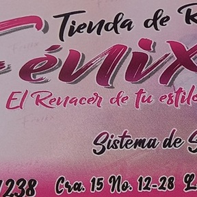 Tienda de ropa fenix